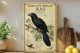 a vintage-style poster of a black crow perched on a branch, with a detailed illustration and text providing information about the bird.