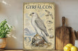 a poster of a white bird, likely a falcon, with various illustrations and text about the bird, placed on a shelf next to a wooden cutting board and some potted plants.