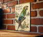 A vintage-style metal sign featuring a colorful parrot perched on a branch, with text and illustrations related to the macaw.