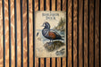 A vintage-style poster of a Harlequin Duck is displayed on a wooden wall.