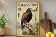 A framed illustration of a Harris's Hawk, a bird of prey, is displayed on a shelf next to a wooden cutting board and some potted plants.