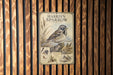 A vintage-style poster of a bird, likely a sparrow, is displayed on a wooden wall.