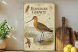 a vintage-style book cover for "Hudsonian Godwit" with illustrations of the bird and its natural habitat. The book cover is displayed on a shelf next to a wooden cutting board and a potted plant.