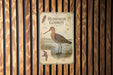 A vintage-style poster of a bird, likely a species of bird called the Hudsonian Godwit, is displayed on a wooden wall.