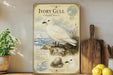 a vintage-style illustration of a white Ivory Gull, a seabird, perched on a rock with a map of the world in the background. The illustration is accompanied by text that provides information about the species, including its habitat, range, and conservation status.