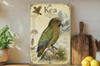A framed illustration of a colorful parrot, specifically a Kea, is displayed on a shelf next to a wooden cutting board and some kitchen utensils.