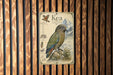 A vintage-style poster of a parrot, specifically a Kea, is displayed on a wooden wall.