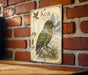 A vintage-style illustration of a parrot, specifically a Kea, is displayed on a brick wall.