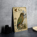 a framed illustration of a parrot, specifically a Kea, perched on a rock. The illustration includes various bird species and their habitats, providing a detailed visual representation of the species.