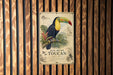A vintage-style metal sign featuring a colorful toucan perched on a branch, with text and illustrations related to toucan species.