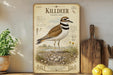 a framed illustration of a Killdeer, a bird species native to North America, standing on a rocky outcropping. The illustration includes text and illustrations that provide information about the bird, such as its habitat, diet, and behavior. The framed artwork is displayed on a shelf, with a potted plant, a wooden cutting board, and some lemons visible in the background.