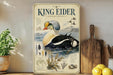 A poster of a king eider, a large sea bird, is displayed on a shelf next to a wooden cutting board and some fruits.