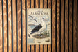 a sign with a picture of a bird, specifically an albatross, and some text and illustrations related to the bird.