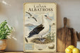 A framed illustration of a laysan albatross, a seabird, is displayed on a shelf next to a wooden cutting board and a potted plant.