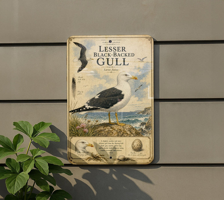 a sign with a picture of a black-backed gull, which is a type of seagull.