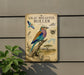 a vintage-style sign with illustrations and text about the Lilac-breasted Roller, a colorful bird species.