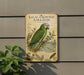 a vintage-style sign with a colorful illustration of a green and yellow bird, likely a parrot, perched on a branch. The sign is mounted on a wall and is surrounded by greenery, including a plant to the left.