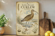 a vintage-style field guide to North American birds, specifically the Long-Billed Curlew, which is depicted on a wooden board. The guide includes illustrations and descriptions of the bird, along with other North American birds, and is placed on a shelf next to a wooden cutting board and some potted plants.