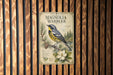 a vintage-style poster of a Magnolia Warbler, a bird species, displayed on a wooden wall.