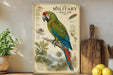 a vintage-style illustration of a macaw, a large parrot, perched on a branch. The illustration includes various details about the macaw, such as its vibrant green and blue plumage, its strong beak, and its distinctive red feet. The image is set against a backdrop of tropical foliage, and there are some additional elements, such as a potted plant, a wooden cutting board, and a bowl of fruit, which are placed on a shelf or counter.