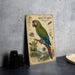a vintage-style metal sign with a colorful illustration of a macaw, a type of parrot, perched on a branch. The sign is placed on a gray countertop, with a stack of black camera lenses and a woven basket visible in the background.