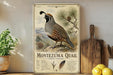 A framed illustration of a quail bird, specifically the Montezuma quail, is displayed on a shelf next to a wooden cutting board and some potted plants.