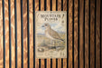 a vintage-style poster of a bird, specifically a mountain plover, mounted on a wooden wall.