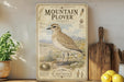 a vintage-style field guide to the American bird species called the Mountain Plover, which is a small shorebird that lives in the open spaces of the American Southwest. The guide provides information about the bird's habitat, diet, behavior, and conservation status. The guide is displayed on a shelf next to a wooden cutting board and a potted plant, creating a rustic and nature-inspired setting.