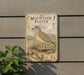 a vintage-style field guide to the American birds, specifically the Mountain Plover, mounted on a wall.
