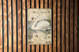 a poster of a mute swan, which is a large white bird with a distinctive orange beak and neck.