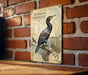 a vintage-style illustration of a black bird, possibly a cormorant, perched on a branch against a brick wall.