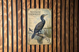 a vintage-style illustration of a black bird, possibly a cormorant, perched on a branch with a bird in flight in the background. The bird is depicted in a detailed and realistic manner, showcasing the natural beauty of the species.