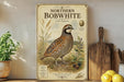 a vintage-style illustration of a Northern Bobwhite bird, surrounded by various natural elements such as grass, berries, and a wooden board.