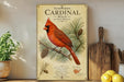 a framed illustration of a red cardinal perched on a pine branch, surrounded by pine cones and pine needles.