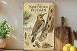 a vintage-style poster of a Northern Flicker, a type of bird, displayed on a shelf next to a wooden cutting board and some lemons.