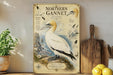 a poster of a Northern Gannet bird, which is a large seabird with a distinctive white plumage and black markings on its head and neck. The poster includes various illustrations and text that provide information about the bird, such as its size, habitat, and behavior. The poster is displayed on a shelf next to a wooden cutting board and a potted plant, creating a decorative and functional arrangement.