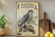 a framed illustration of a Northern Goshawk, a bird of prey, perched on a branch with mountains in the background. The frame has text and illustrations that provide information about the bird, including its size, habitat, and other details. The image is displayed on a shelf next to a wooden cutting board and a potted plant.