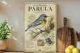 A vintage-style illustration of a blue and yellow bird perched on a branch, with text describing the bird as a Northern Parula, a species of bird native to North America.