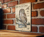 a vintage-style metal sign with illustrations and text about the Northern Pygmy Owl, which is a small owl species native to North America.