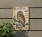 a vintage-style illustration of a Northern Pygmy Owl perched on a branch, with a detailed depiction of the owl's features and habitat.