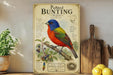 a vintage-style poster or sign with a colorful illustration of a male bird, likely a painted bunting, perched on a branch with berries and leaves. The poster includes text and illustrations related to the bird, such as its natural habitat, diet, and physical features. The poster is displayed on a wooden shelf, with a potted plant and a wooden cutting board visible in the background.