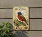 a metal sign with a colorful illustration of a painted bunting male bird, mounted on a wall next to a plant.