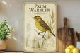 a framed illustration of a yellow warbler bird perched on a branch, surrounded by various natural elements such as grass and leaves.