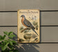 a vintage-style sign depicting a passenger pigeon, with a lush green plant in the foreground.