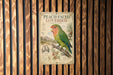 A vintage-style poster of a peach-faced lovebird is displayed on a wooden wall.