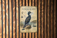 a vintage-style illustration of a pelagic cormorant, a large sea bird, perched on a rock. The bird is depicted in a detailed and realistic manner, showcasing its unique features and characteristics. The illustration is set against a backdrop of a wooden wall, which complements the overall aesthetic of the image.