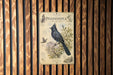 a detailed illustration of a Phainopela bird, which is a small, black bird with a long tail, perched on a branch with leaves and flowers. The illustration is set against a wooden background with vertical slats.