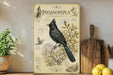 a vintage-style illustration of a black bird, likely a Phainopela, perched on a branch with various text and illustrations related to the bird's characteristics and habitat.