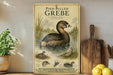 a vintage-style illustration of a pied billed grebe, a type of water bird, surrounded by illustrations of the bird in various aquatic environments. The illustration is set against a backdrop of a natural landscape, with a wooden paddle and a potted plant visible in the foreground.