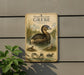 a vintage-style sign with illustrations of ducks and a caption that reads "Pied-Billed Grebe", which is a type of water bird.